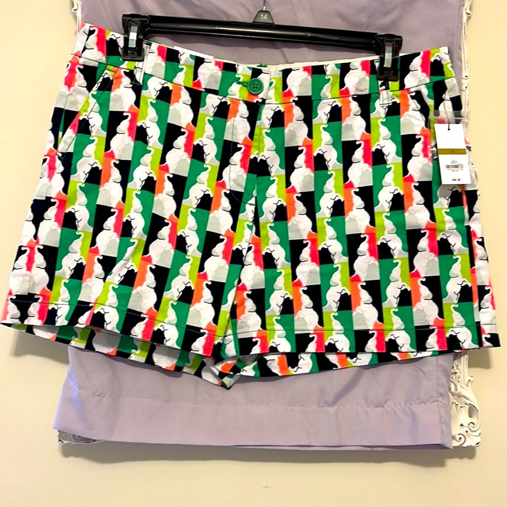 Women’s shorts Size 14